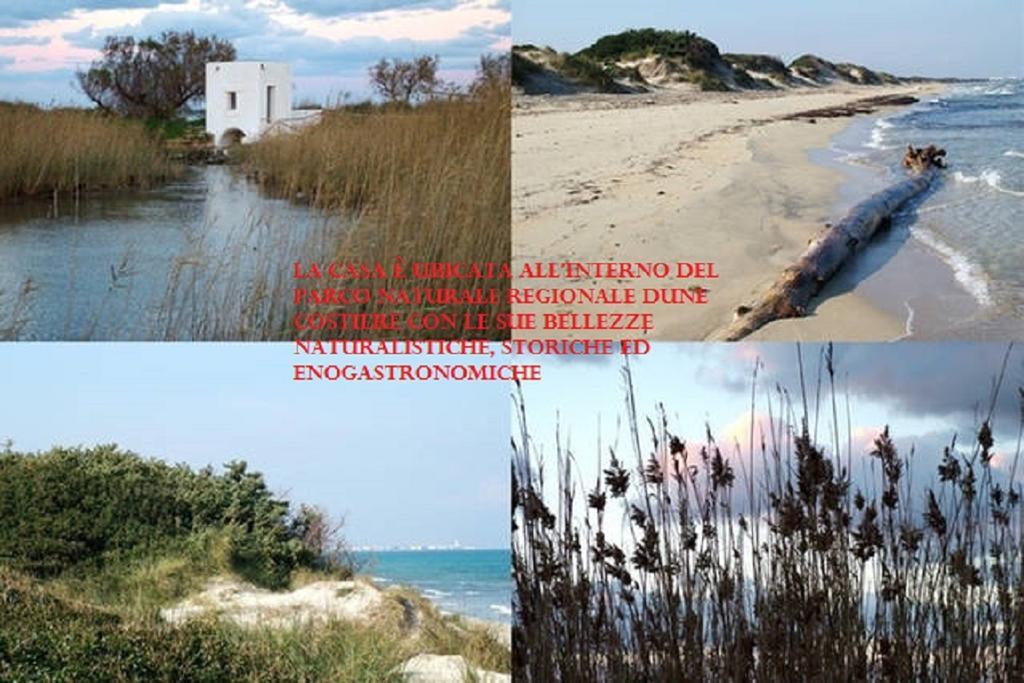 Blue Sea Apartment Torre Canne Εξωτερικό φωτογραφία