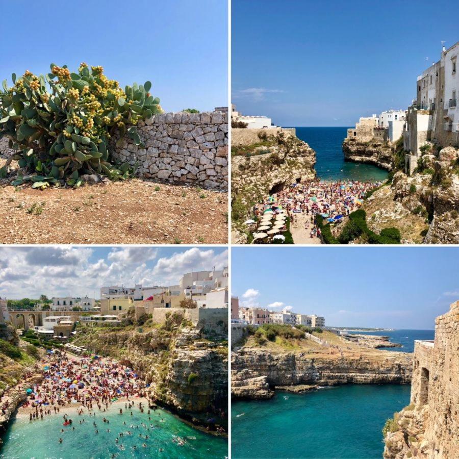 Blue Sea Apartment Torre Canne Εξωτερικό φωτογραφία